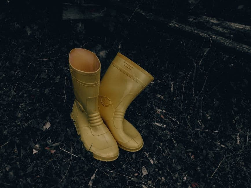 A pair of yellow rain boots standing on wet forest ground