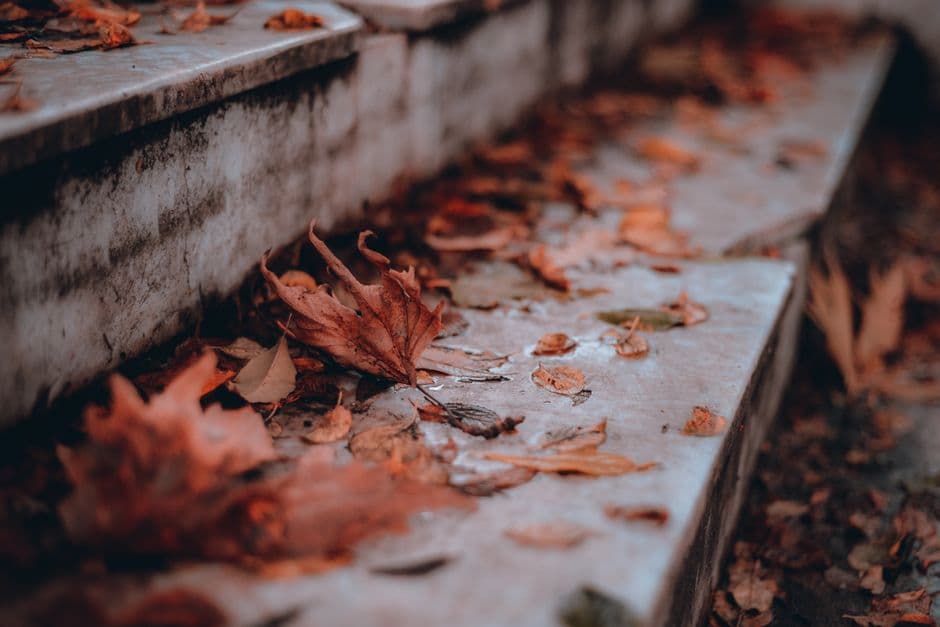 Wet fallen leaves lying across a flight of outdoor stone steps