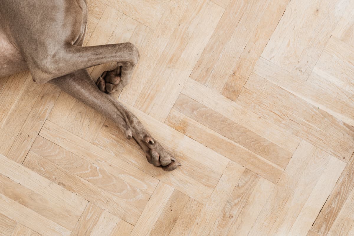 A mat on a hardwood hallway floor beside a door